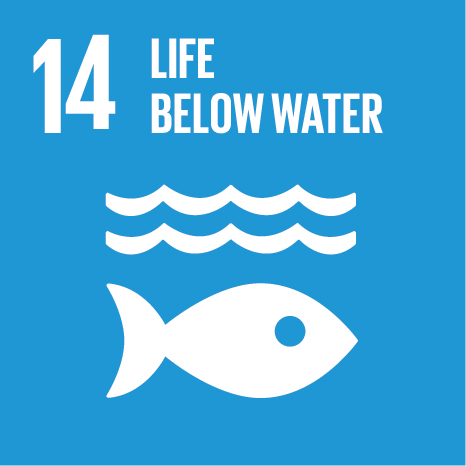 SDG 14: Су астындағы өмір