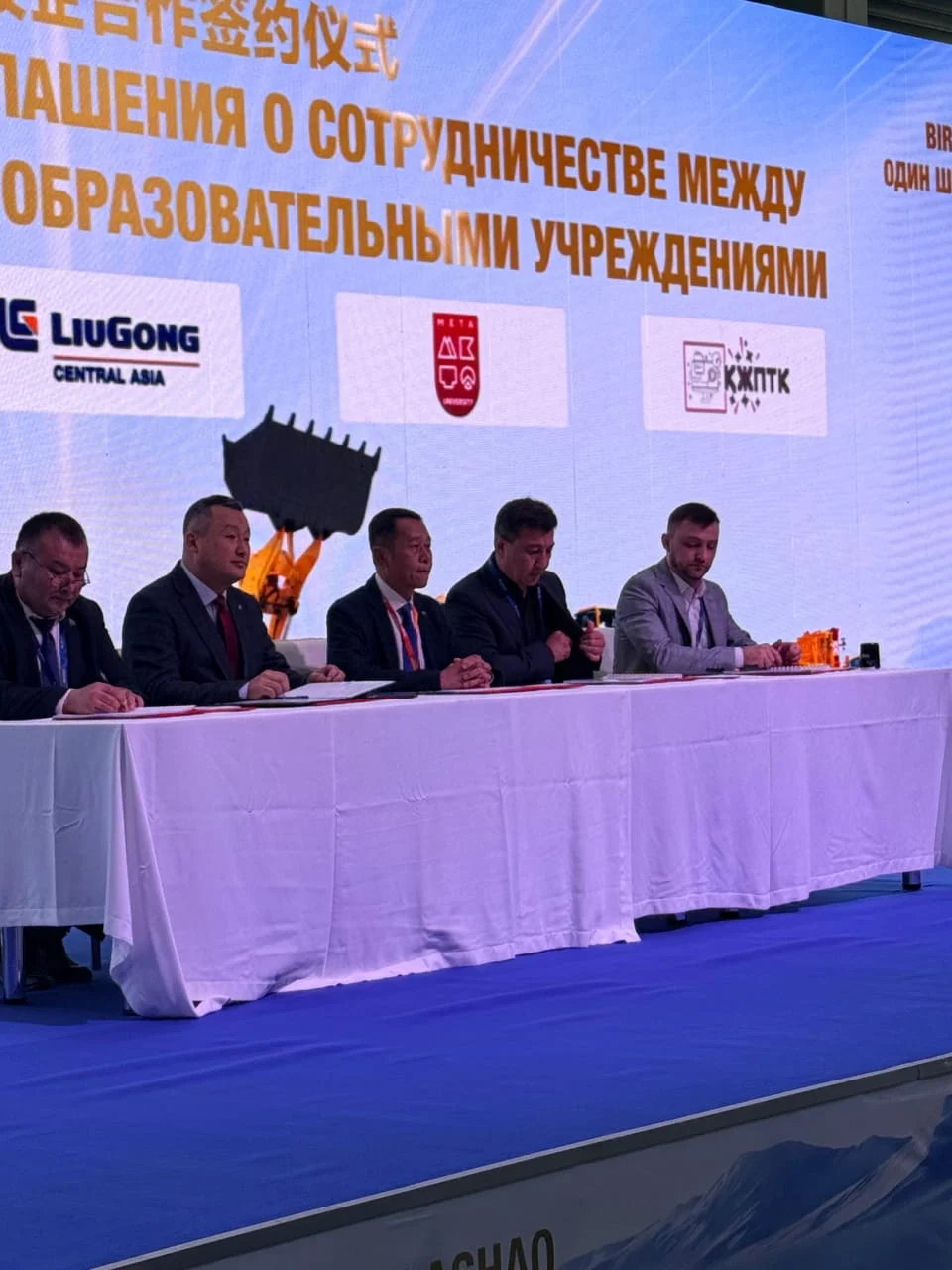 Partnerships for the Goals